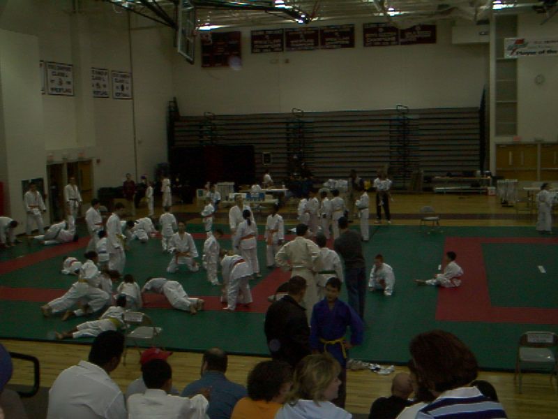 General milling about